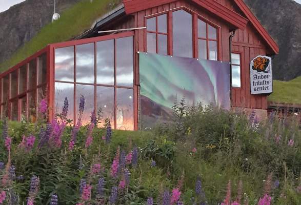 The Gallery Restaurant At Andoy Friluftssenter Restaurants Andenes Norway
