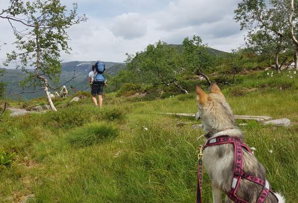 guided hiking tours near me