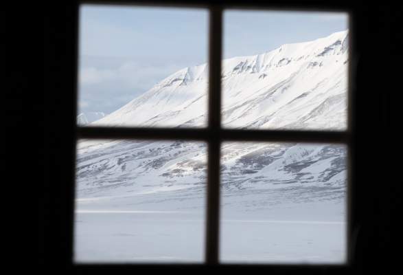 Dog Sledding To A Trapper S Cabin 2 Days Green Dog Svalbard