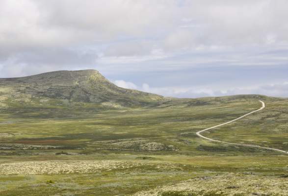 vinjevegen kart Friisvegen og Vinjevegen | Round Trips | Ringebu | Norway