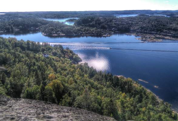 Download Havet signal Free