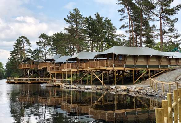 Webkamera kristiansand dyrepark Webkamera kristiansand dyrepark