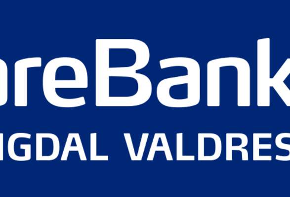 sparebank1 ringerike hadeland nordlys