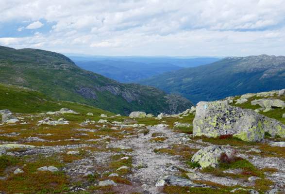 Vassfaret Ringerike Hiking Honefoss Norway