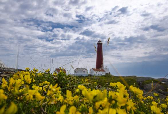 Lighthouse Safari To Utvaer