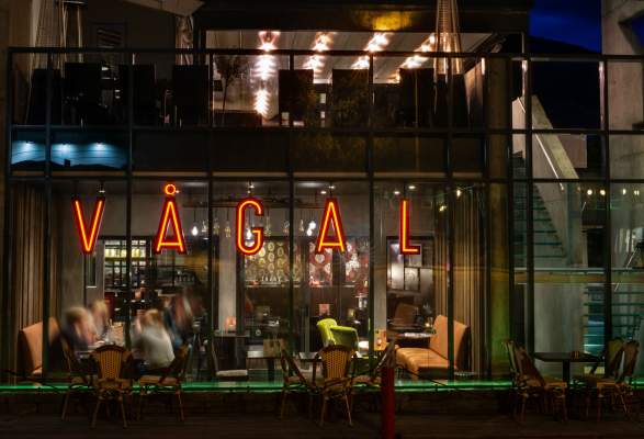 Vagal Burger Gin