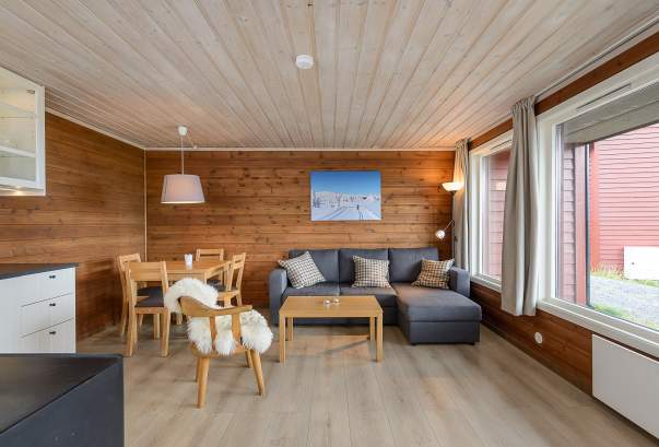 Apartments In Norway Holiday Homes Rentals Nordseter Apartments