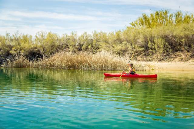 Big Bend of the Colorado Rec. Area