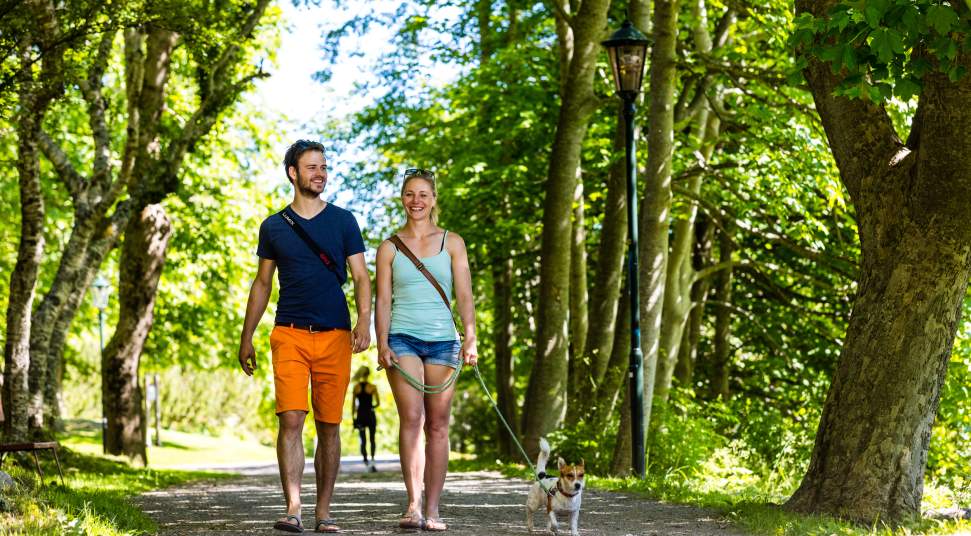 eskorte buskerud norsk date eskorte buskerud norsk date