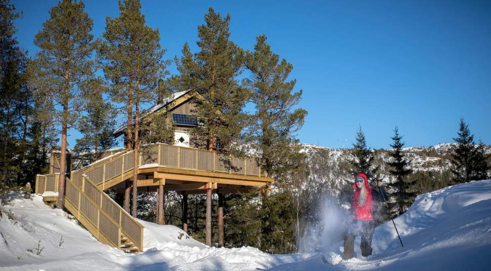 Himmelhoy Tree Top Cabins