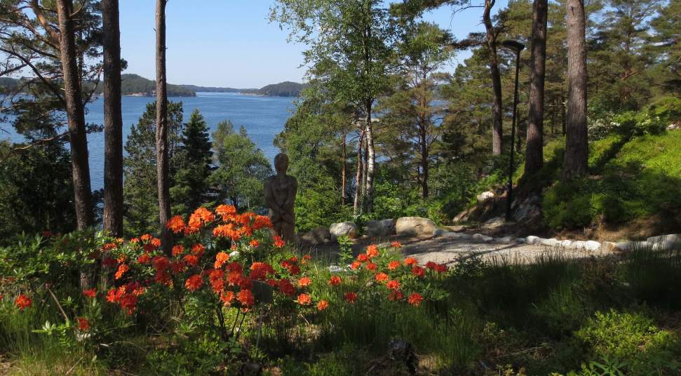 største kuk liten fitte