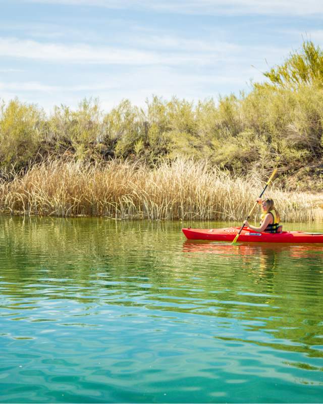 Big Bend of the Colorado Rec. Area