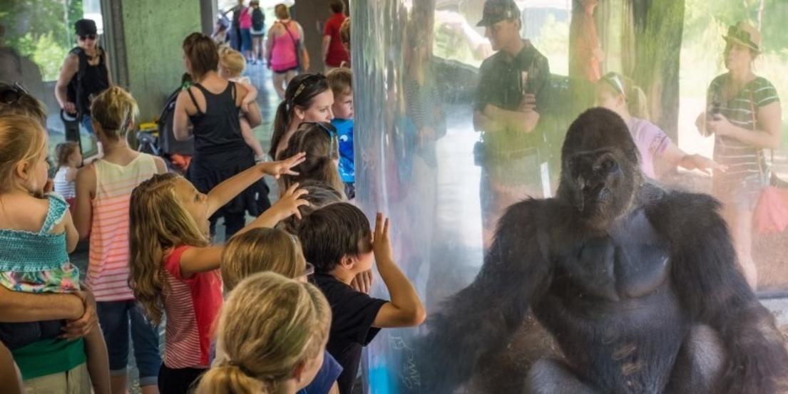 Omaha Henry Doorly Zoo Amp Aquarium Package Omaha Ne 68137