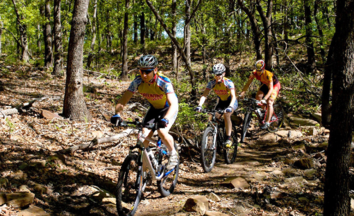 Toronto Reservoir Cross Timbers State Park And Toronto Wildlife