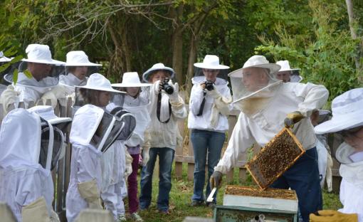 hillside apiaries coupon
