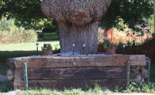 Burl Oak Burlingame Ks 66413