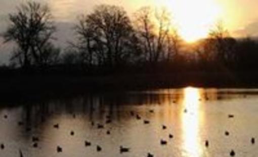 Nck Outfitters Llc Clay Center Ks 67432