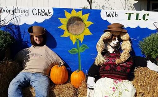 Tlc Garden Center La Harpe Ks 66751