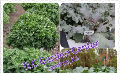 Tlc Garden Center La Harpe Ks 66751