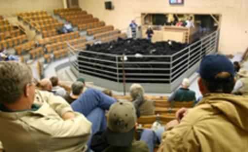 Winter Livestock Dodge City Ks 67801
