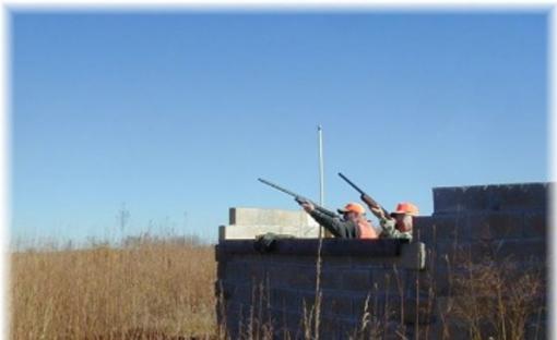 Lone Pine Game Birds Toronto Ks 66777