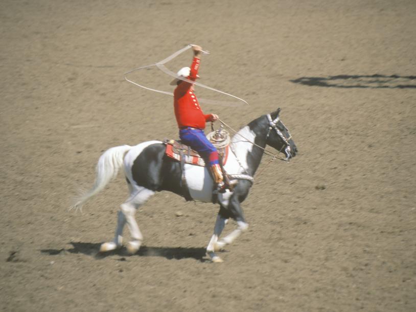 World Series of Team Roping Super Qualifier