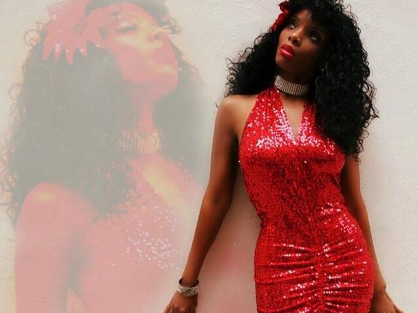 The Donna Summer Experience