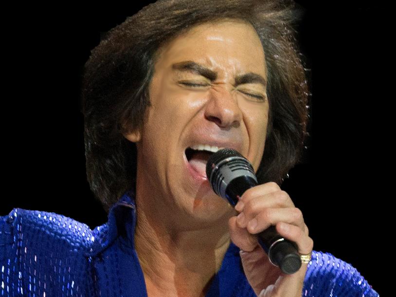 Neil Diamond - The Tribute