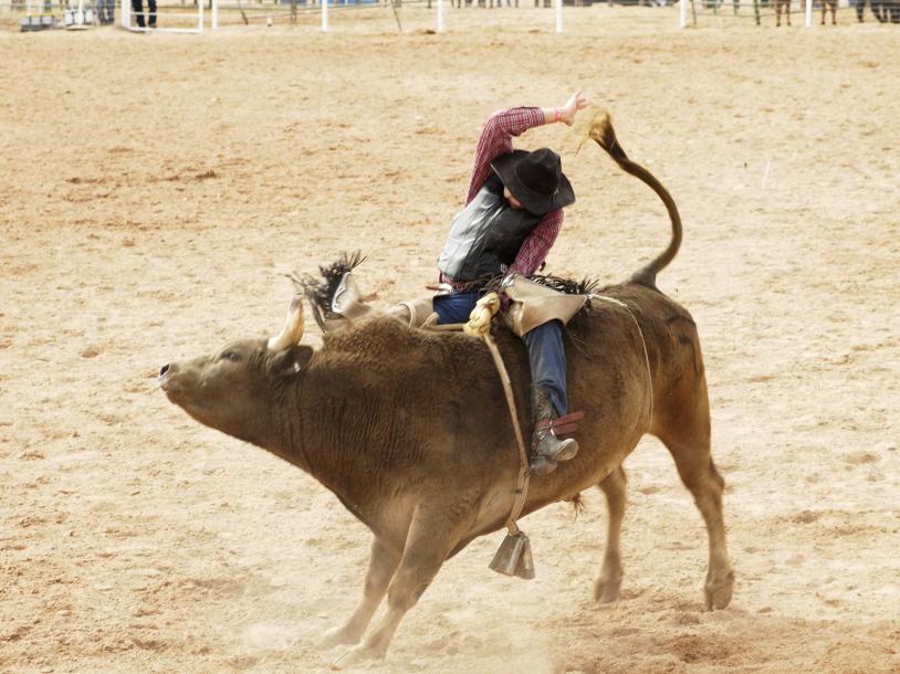 Tuff Hedeman Championship Bull Riding