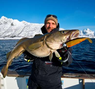 Geladen Botanist Handvol Vissen in Noorwegen | De beste plekken om te vissen