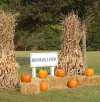 Brookdale Farm