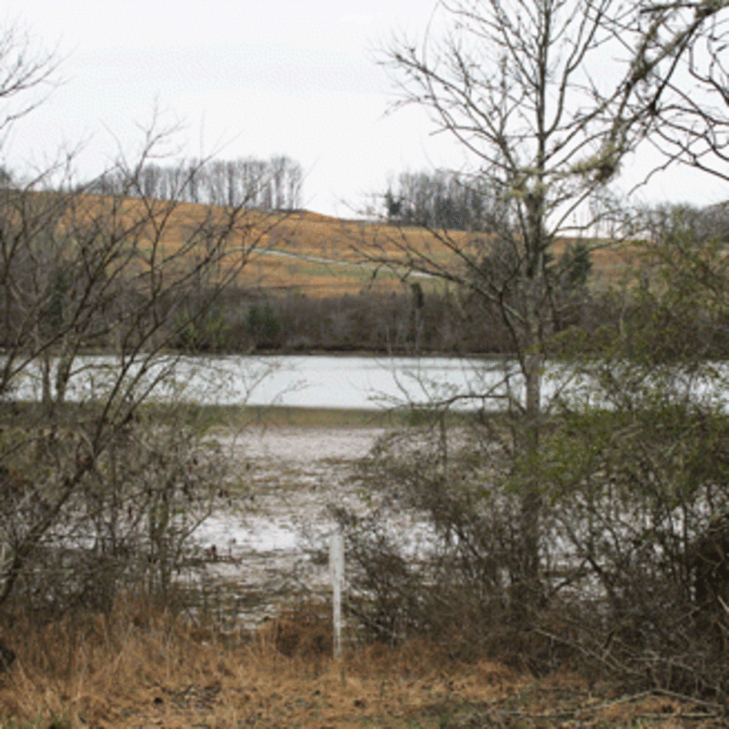 Hiking And Walking Trails Things To Do In Knoxville Tennessee Black Oak Ridge Hiking Trails