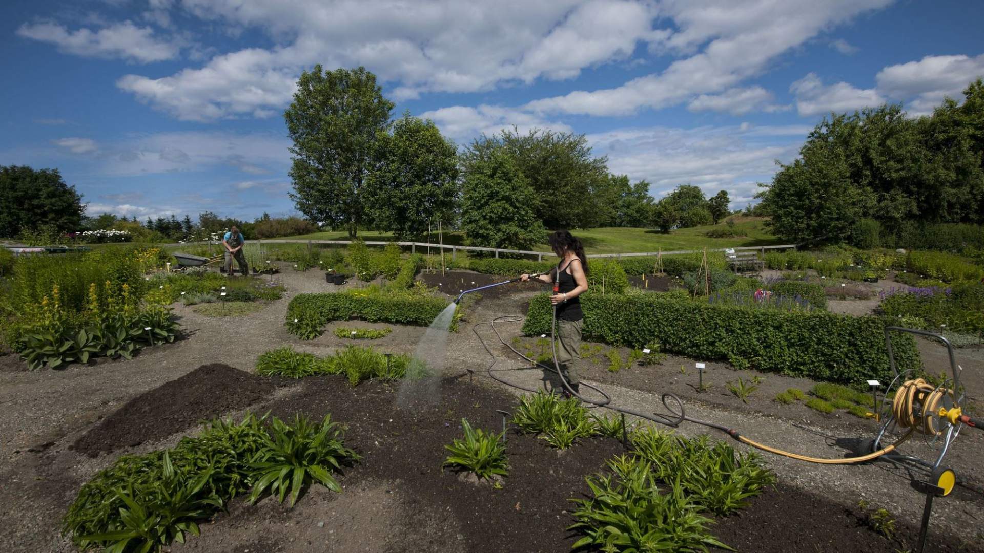 Ringve Botaniske Hage