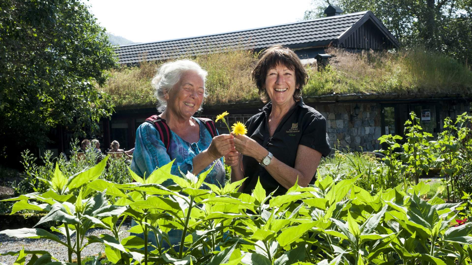 Hildurs Urterarium Overnatting