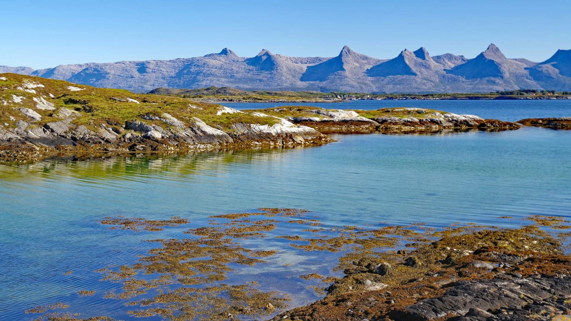 Sykkelelpakke på Helgelandskysten