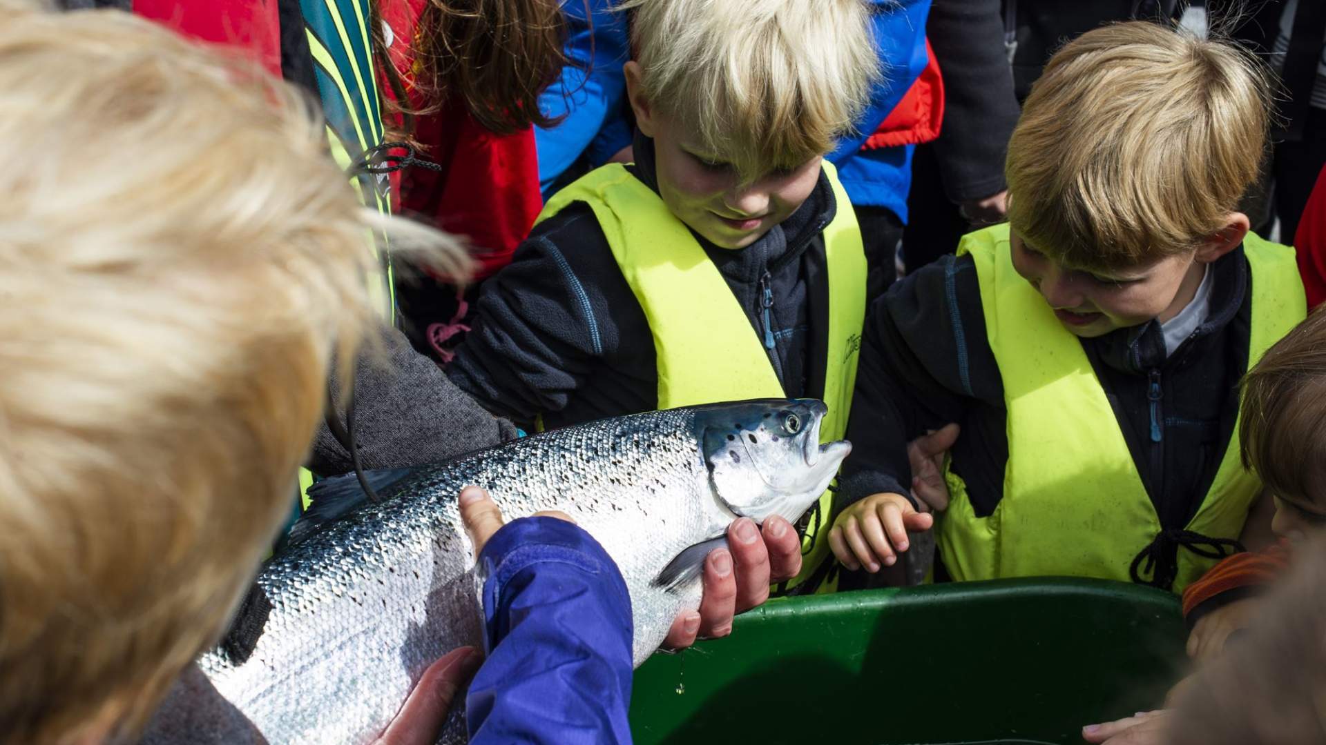 Norsk Havbrukssenter