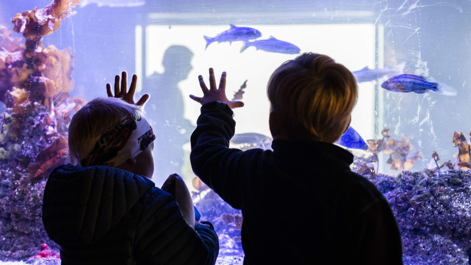 Norsk Havbrukssenter