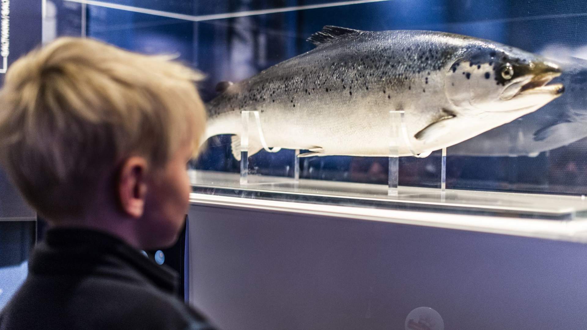 Norsk Havbrukssenter