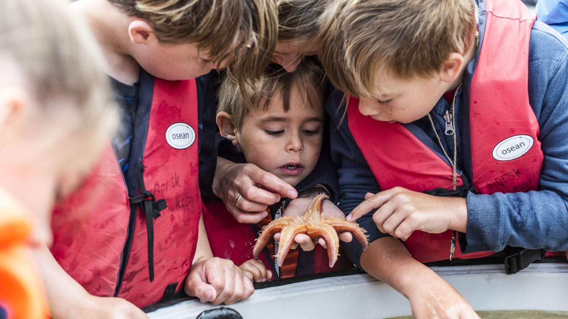 Norsk Havbrukssenter