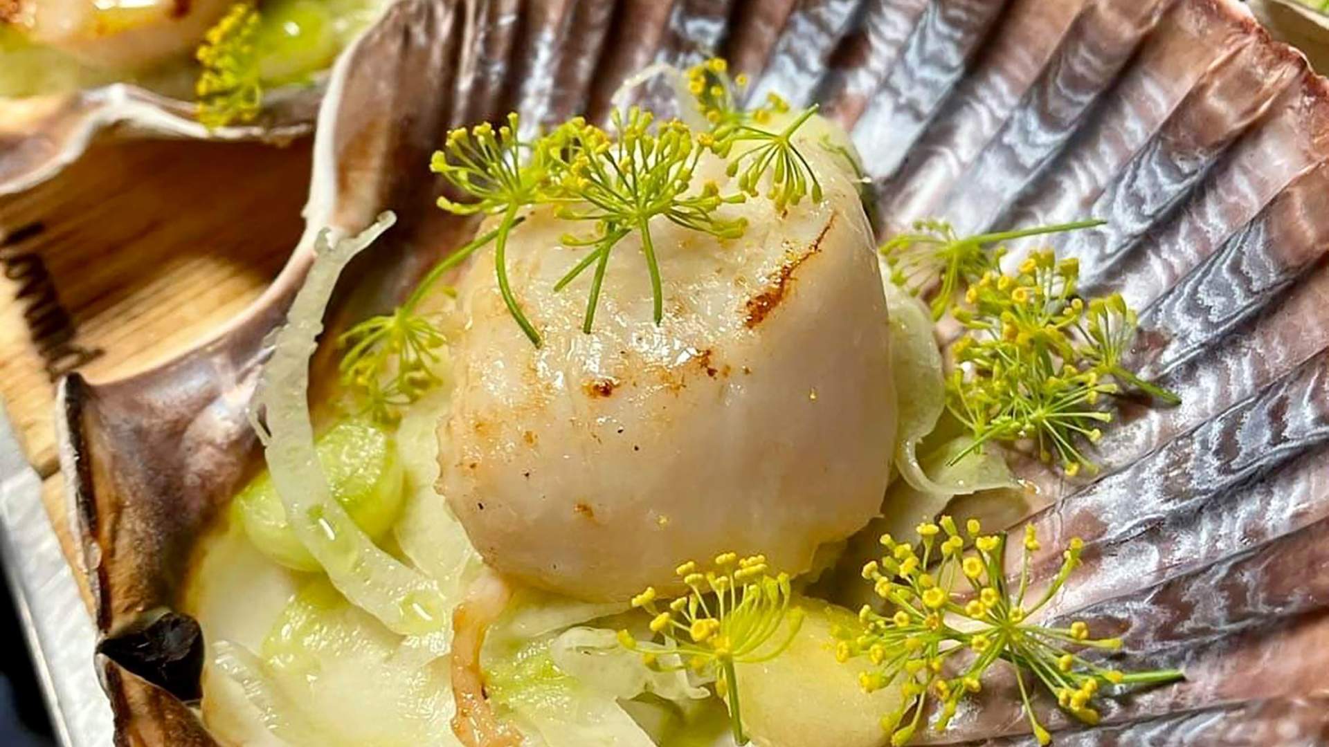 Scallops
