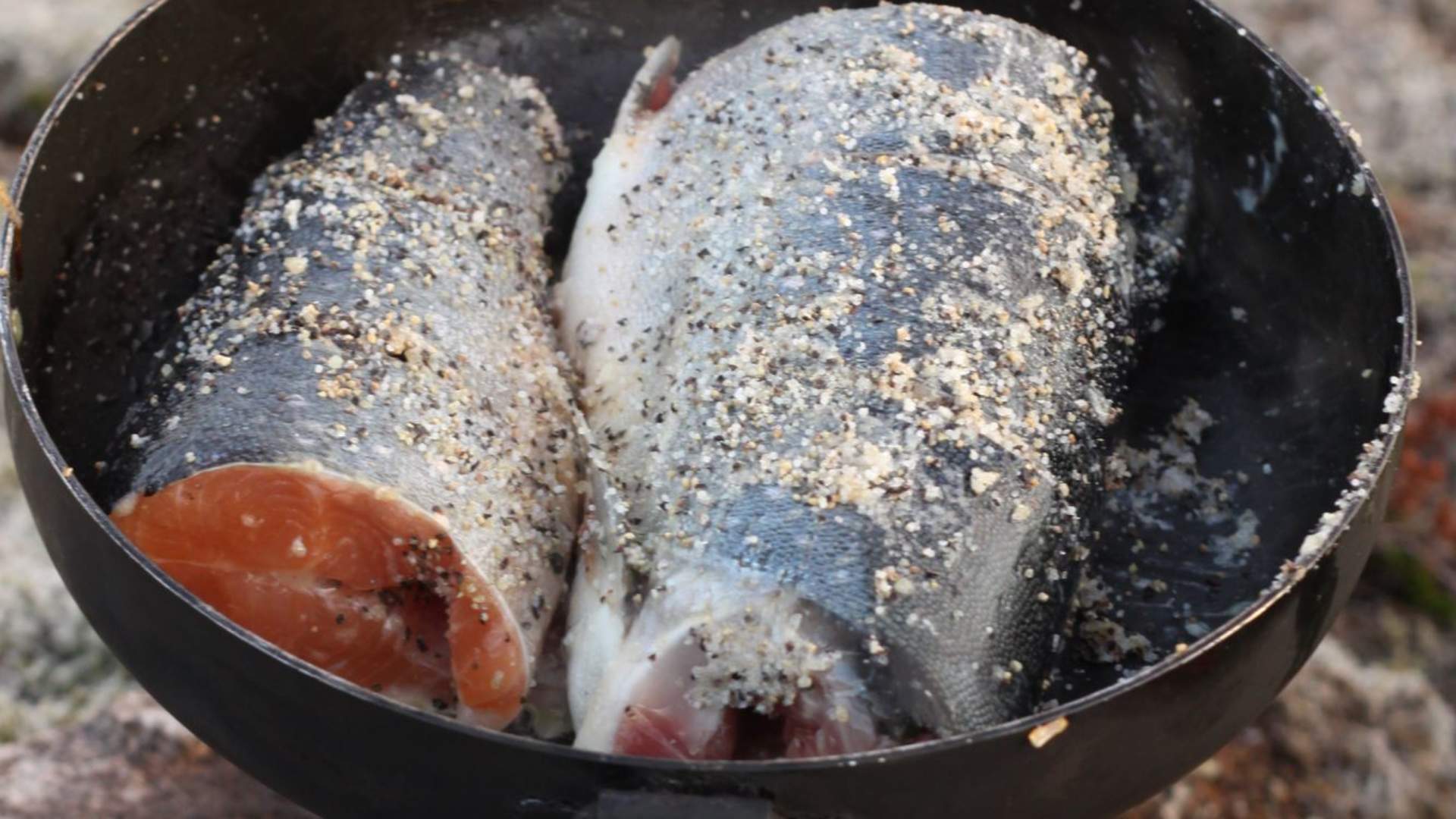 Selvfanget fisk på bål