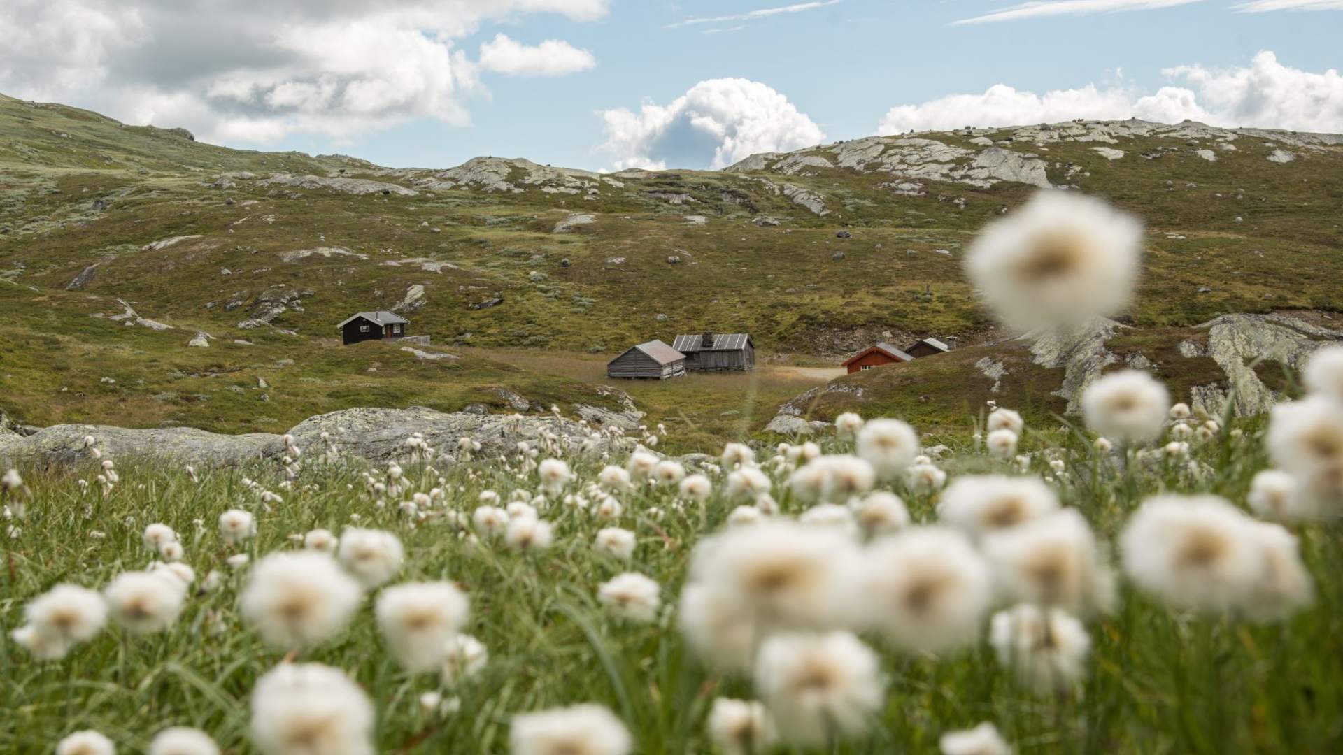 Vandretur i fjellheimen- personlig guide