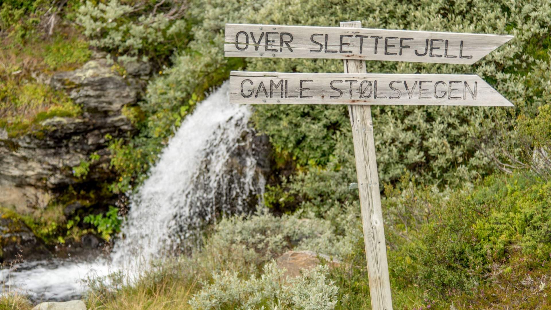 Vandretur i fjellheimen- personlig guide