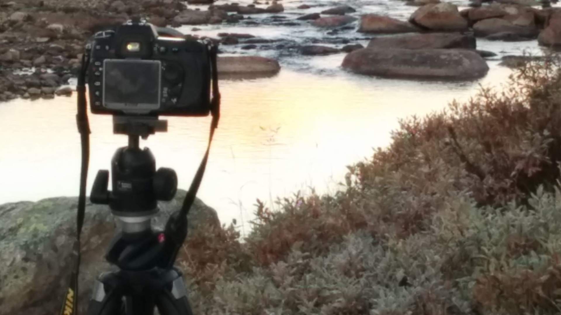 En flott dag på kontoret :-)