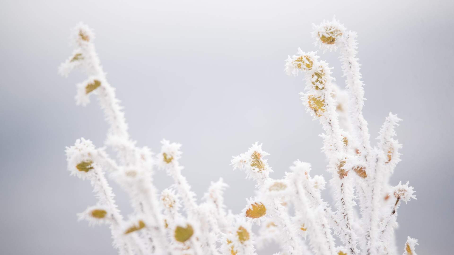 Fotosafari med personlig guide