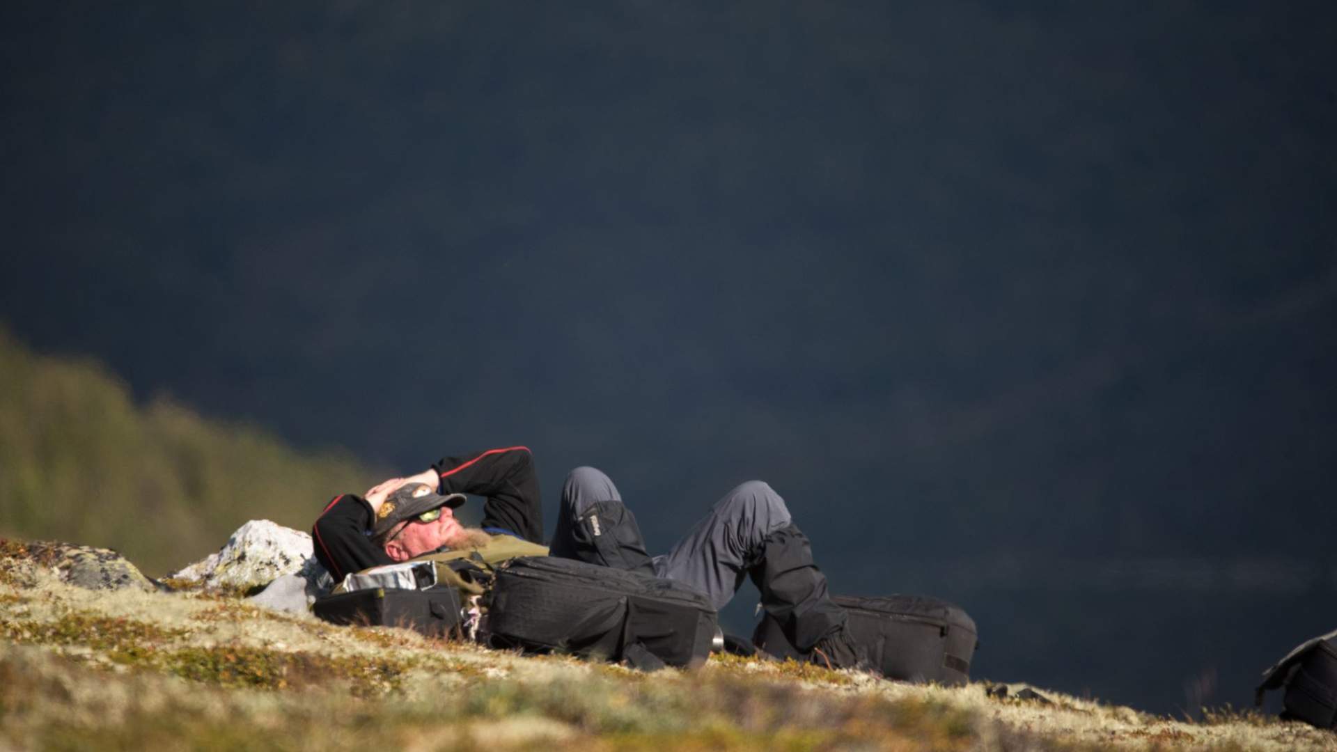 Fotosafari med personlig guide