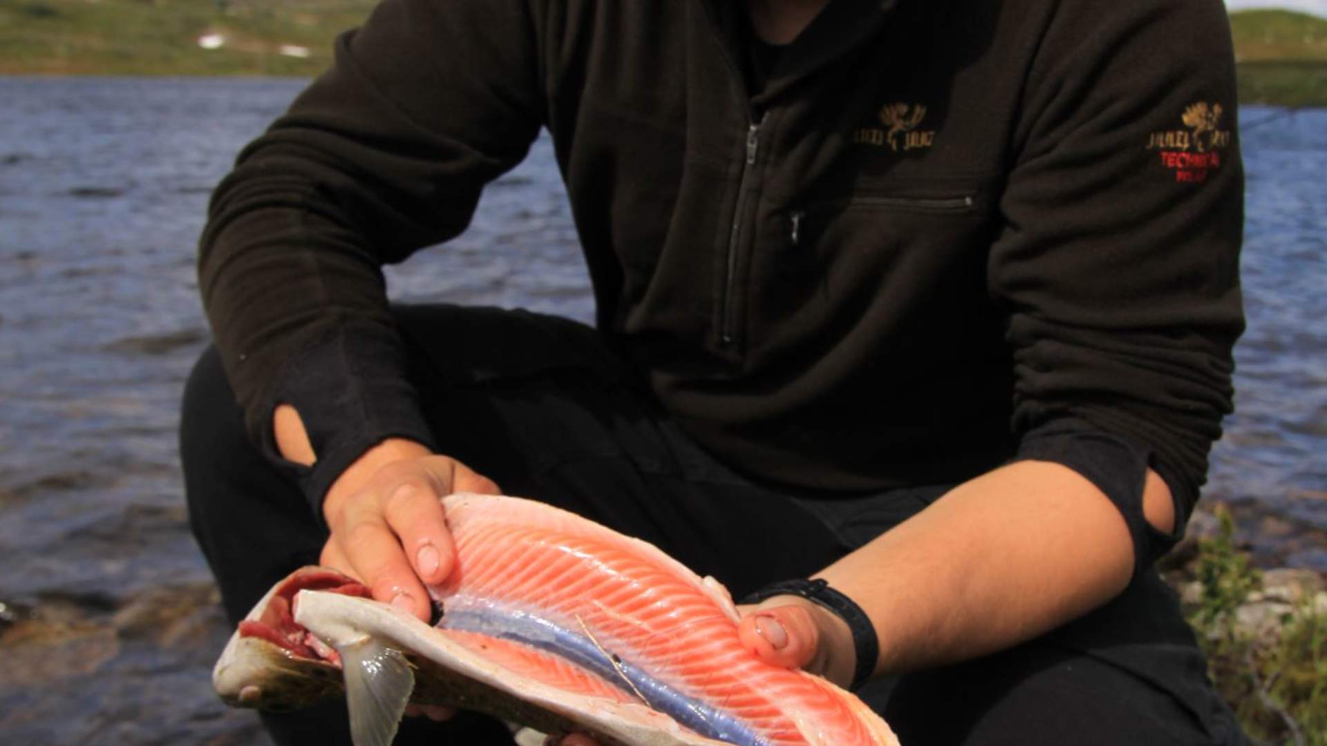 Et flott eksempel på ørret av topp kvalitet!