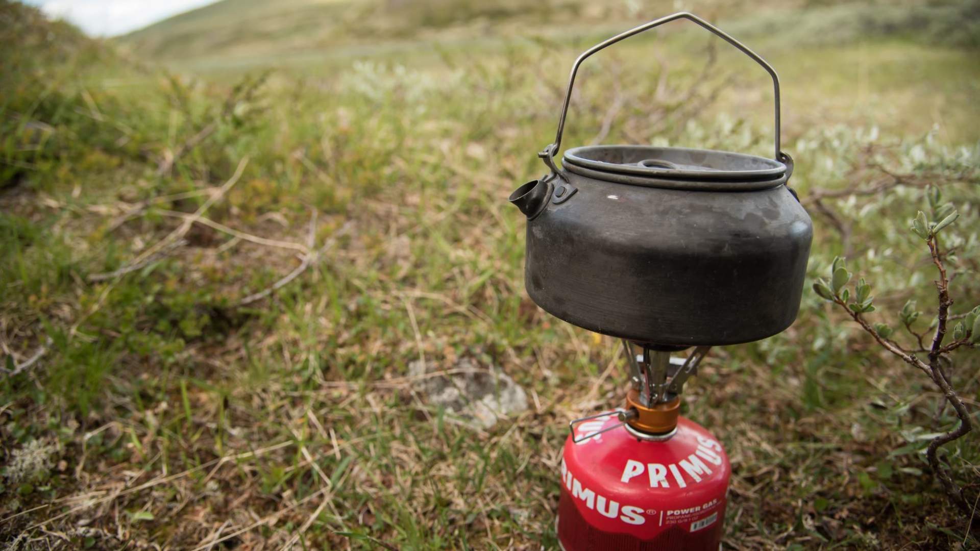 Fisketur med personlig guide