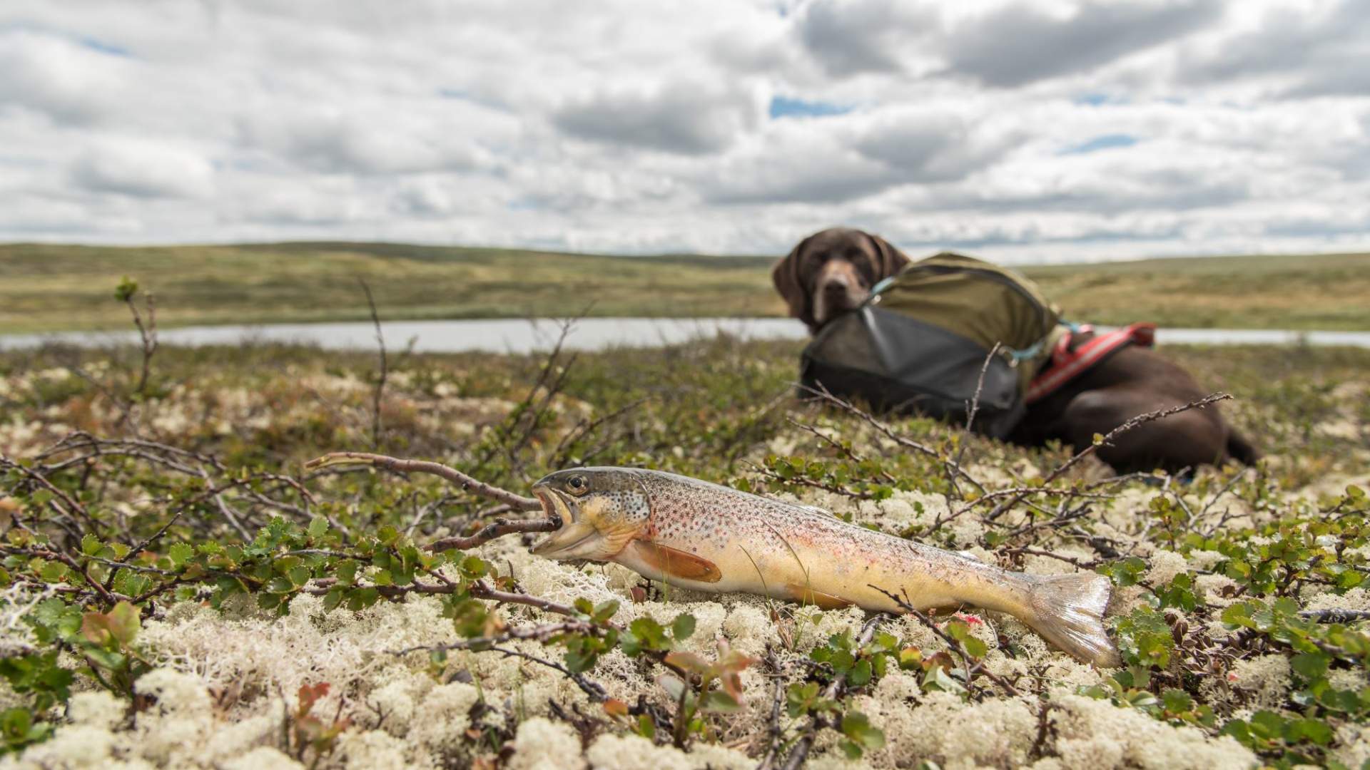 Fisketur med personlig guide