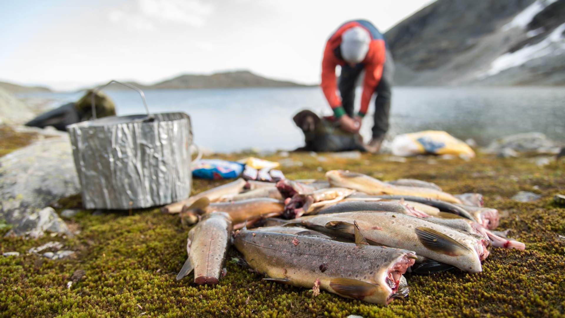 Fisketur med personlig guide